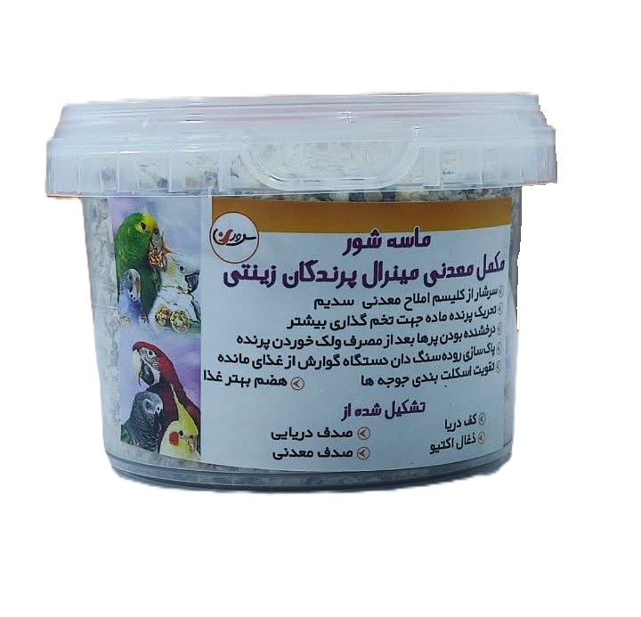 ماسه سطلی کوچک
